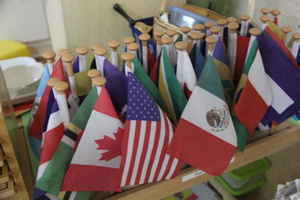 flags representing diverse countries and cultures - Plano, TX